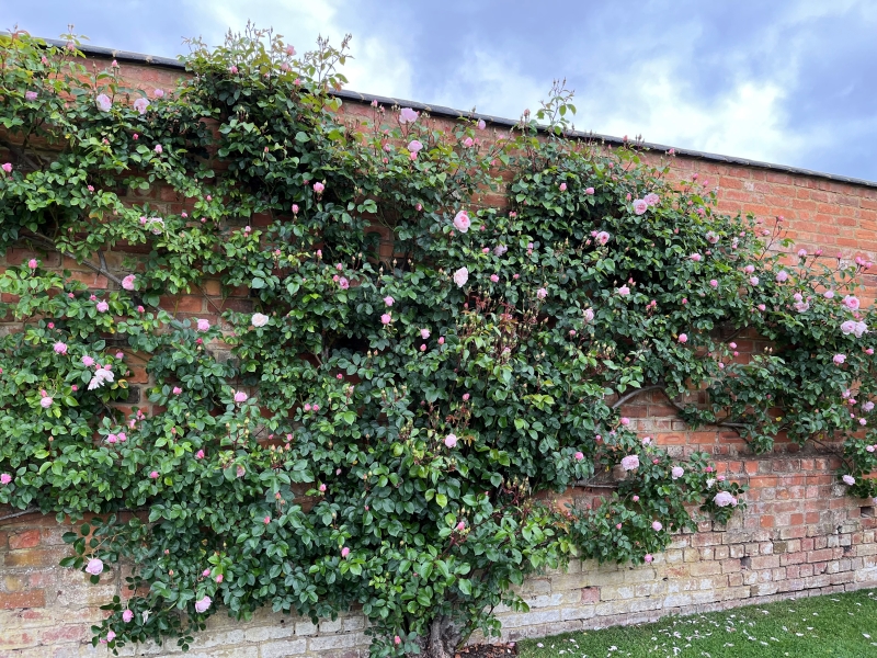 The Old Rectory, Wicken